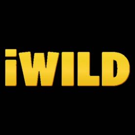 iWild Casino bonus
